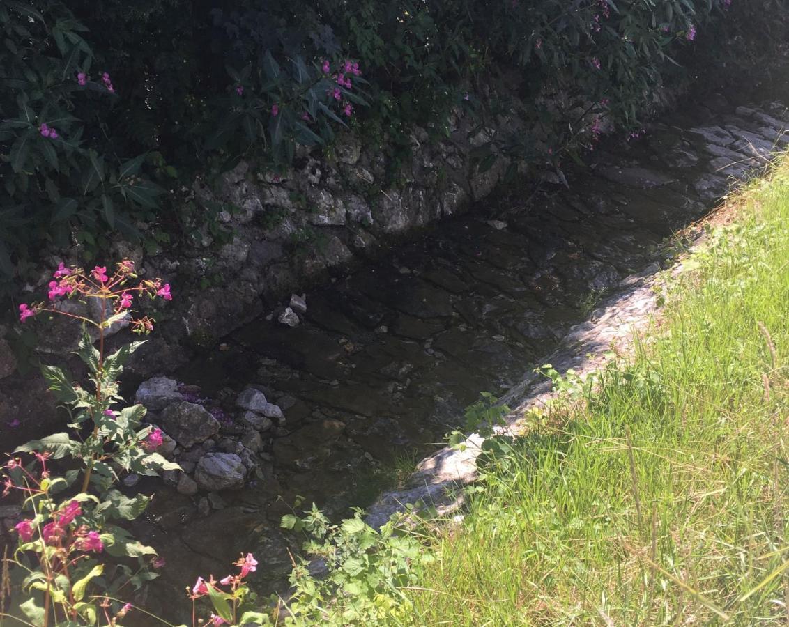 Ferienhaus Am Hocheck Oberaudorf Dış mekan fotoğraf